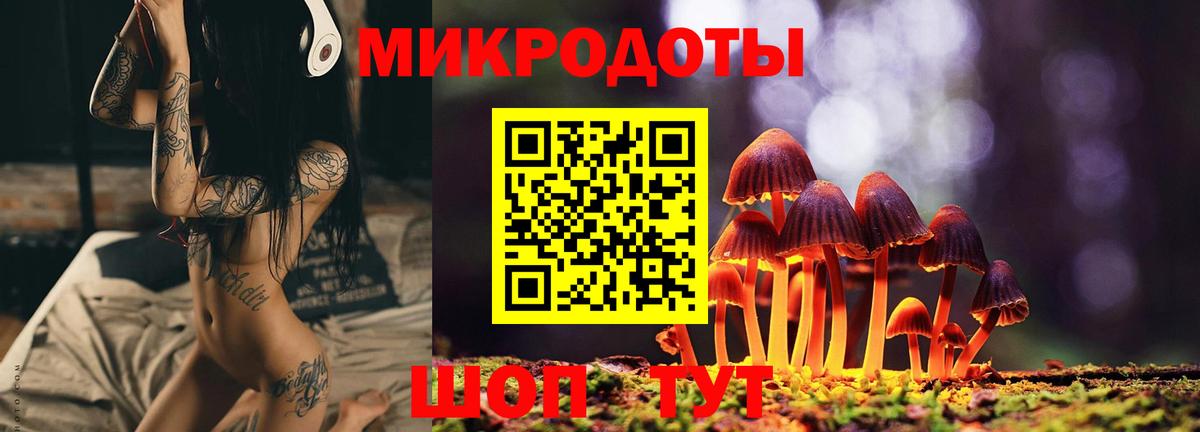 Галлюциногенные грибы мицелий Верхняя Салда